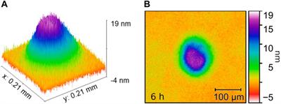 Investigation of laser-induced contamination on dielectric thin films in MHz sub-ps regime